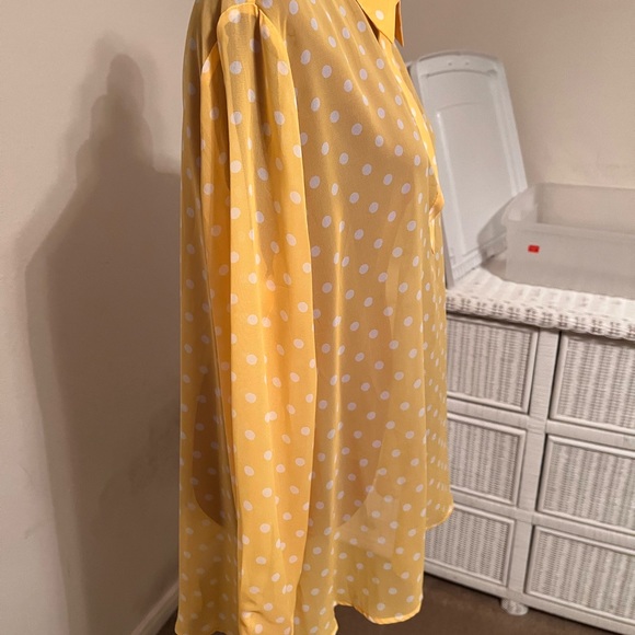 Nordstrom Ladies button down blouse with collar. - Picture 4 of 13